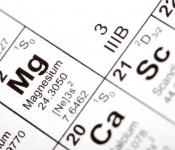 Magnesium
